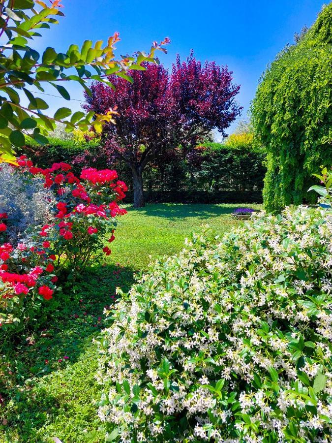 Il Casale Bed & Breakfast San Giovanni In Marignano Eksteriør bilde